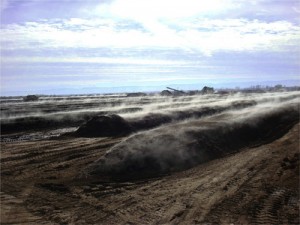 Compost Rows