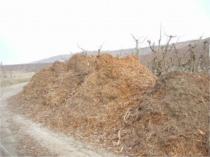 Ground Orchard Prunings