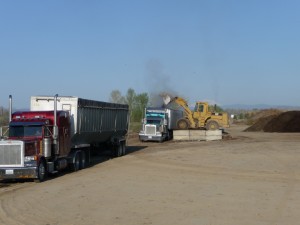 Outgoing Compost